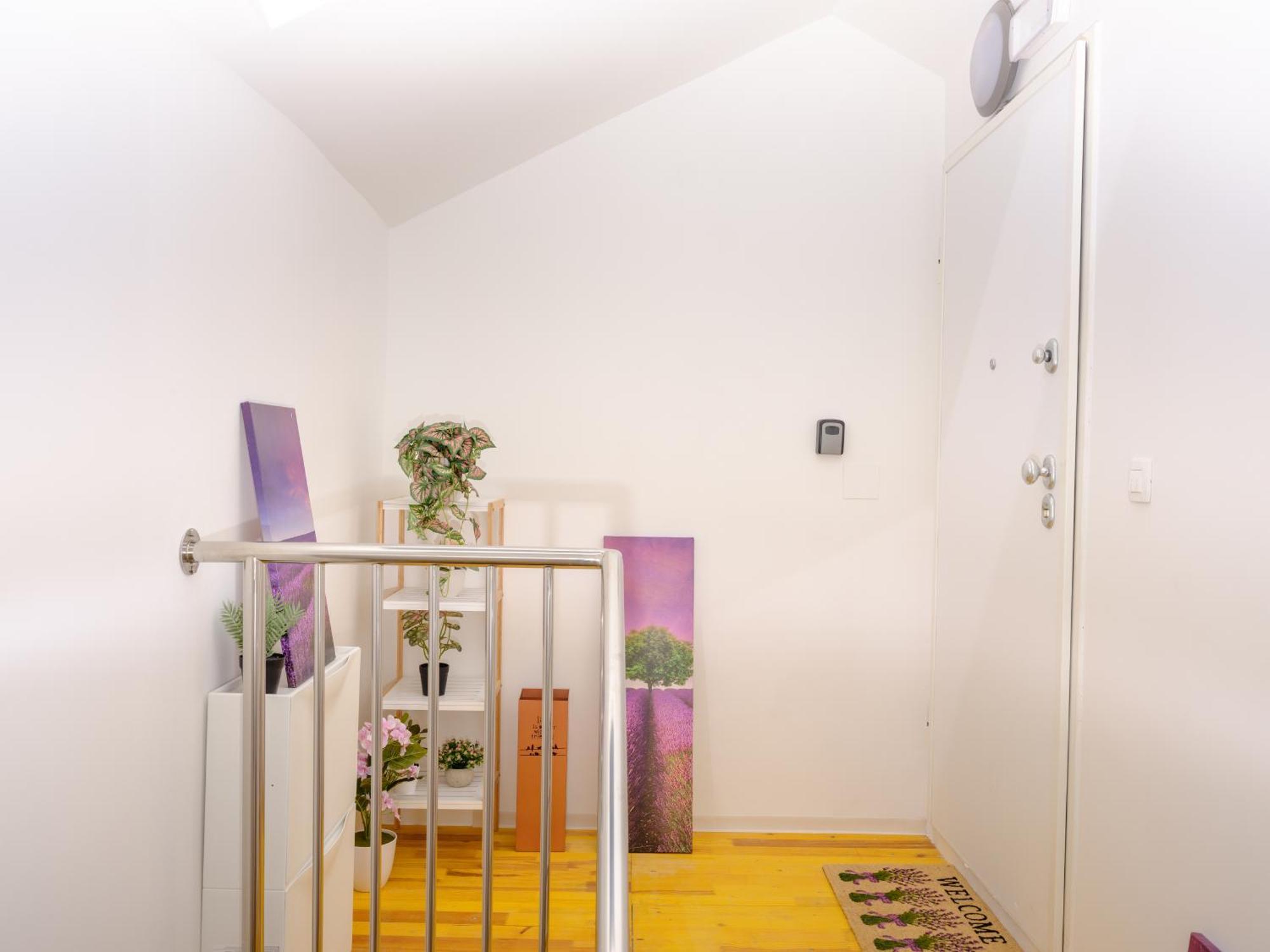 Seaview Apartments Roberta Zadar Dış mekan fotoğraf